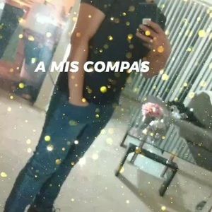 Meet your Posher, Oscar